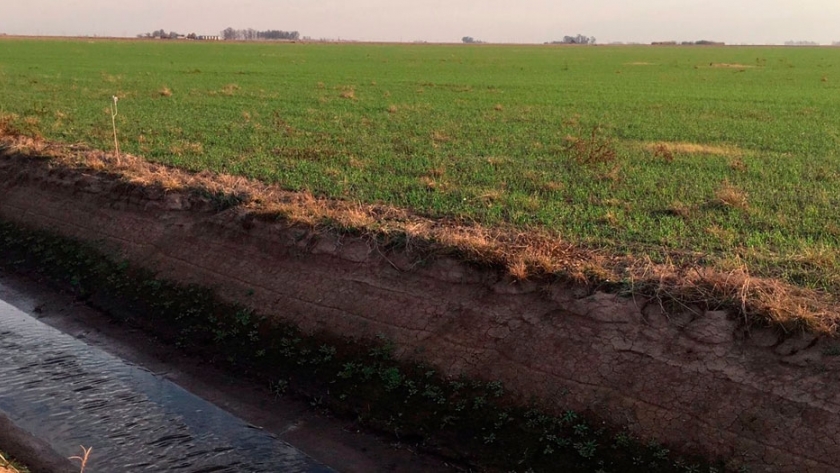 Desafío hídrico en el sector: El Niño se retira sin cumplir expectativas en las napas