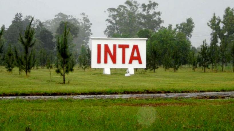 Oportunidad de crecimiento en el INTA: Convocatoria abierta para cargos directivos y personal de limpieza