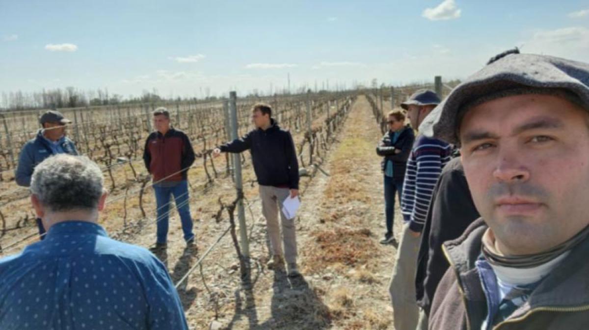 La Universidad de Cuyo es la primera del país que integra el grupo de experimentación agrícola CREA
