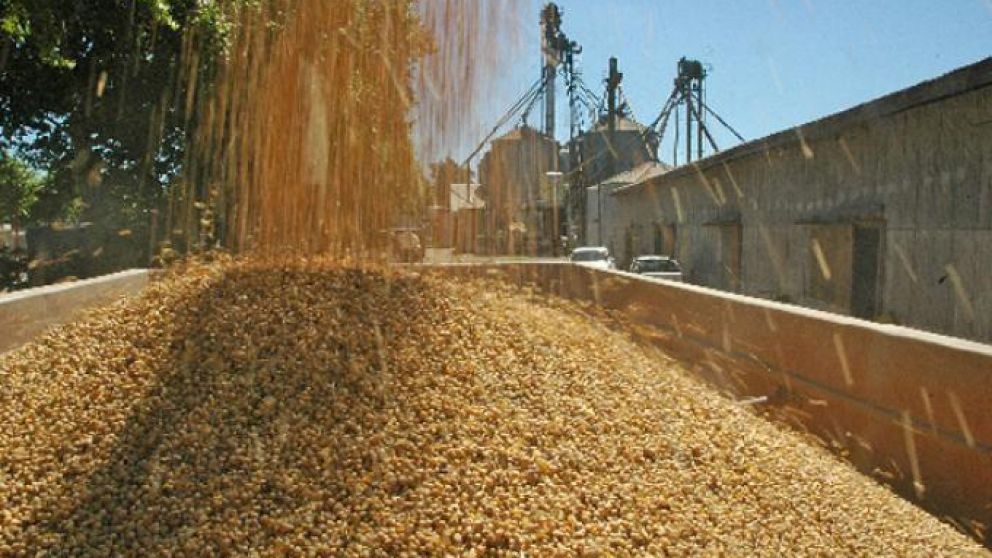 La soja repunta y alcanza los $300.000 por tonelada impulsada por la firmeza de la oferta