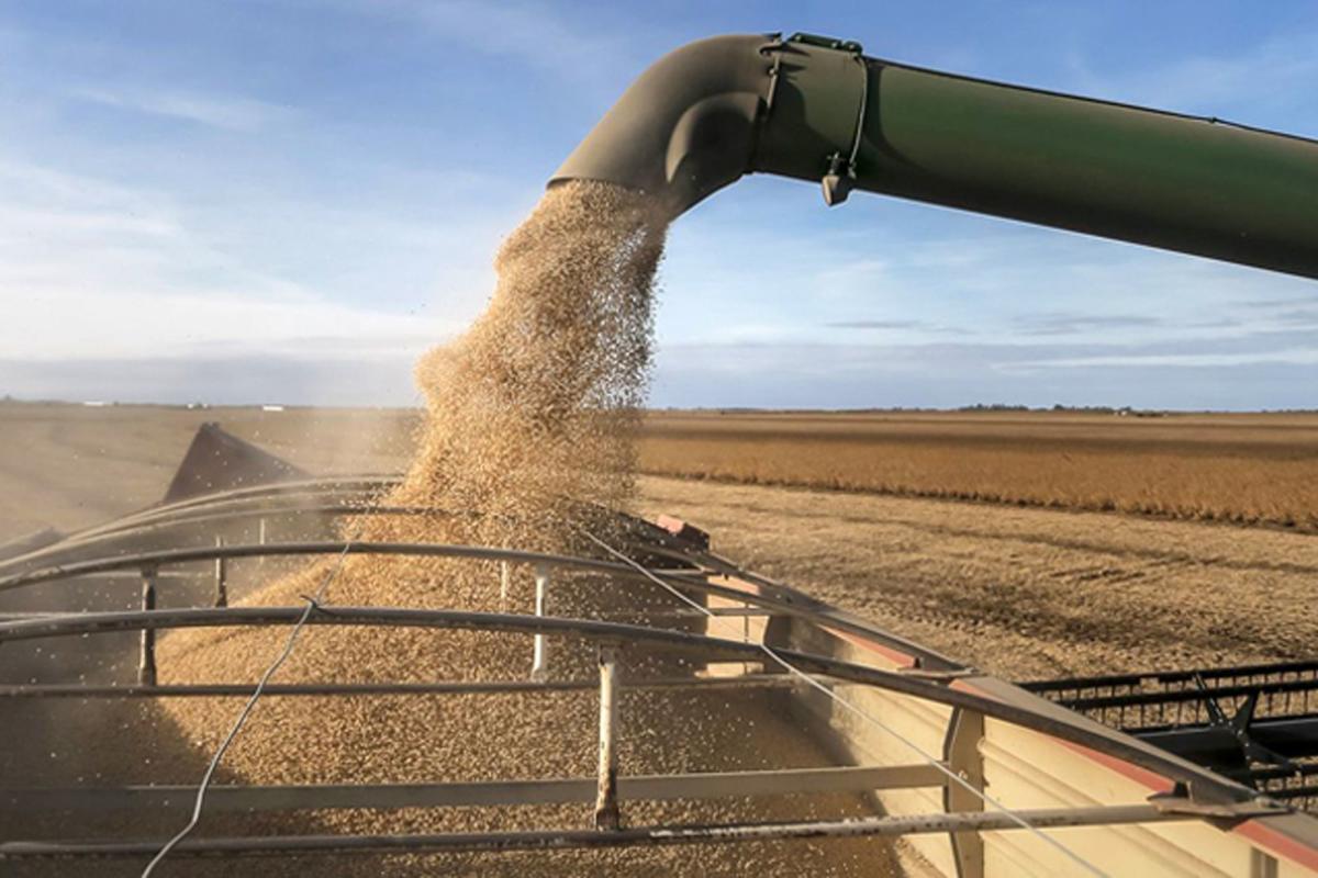 Los productores agrícolas de Córdoba tendrán rentabilidad negativa