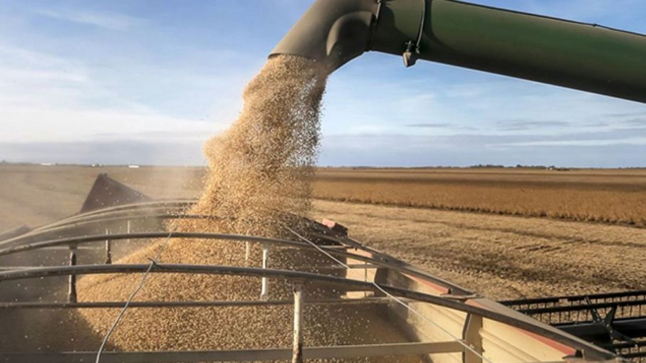 Cereales y soja caen por la gran cantidad de oferta sudamericana
