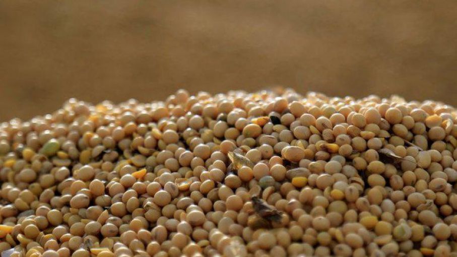 Dudas y desafíos en el Ciclo 2024/25: Perspectivas y preocupaciones para el sector agropecuario
