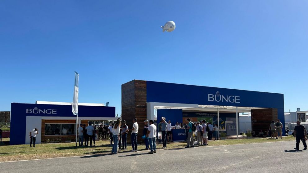 Colza, camelina y crtamo, y el rol de Bunge de acercar estos cultivos al productor para "ayudar a transformar la agricultura"