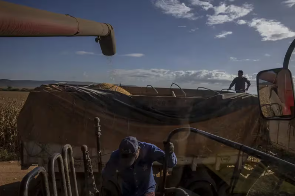 Brasil planea rescate económico para el sector agrícola ante la caída de precios de cultivos
