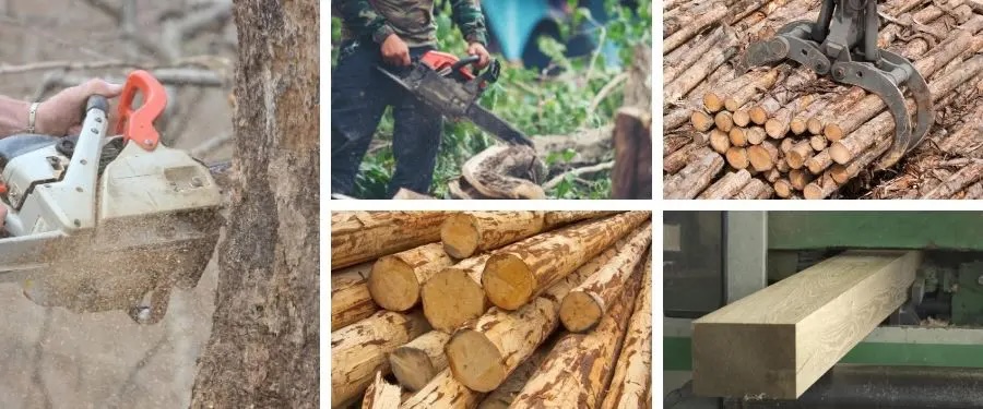 Preocupa la siituación del sector de transformación mecánica de la madera.