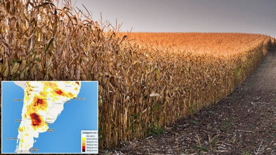 Alarma en el agro: hay un 80% de probabilidades de que vuelva La Niña y temen por una nueva sequía