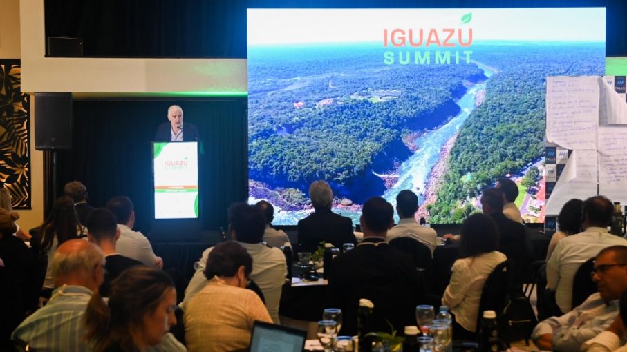 Argentina se destaca en la Cumbre Iguazú gracias a la visión del secretario Vilella sobre agricultura libre de deforestación
