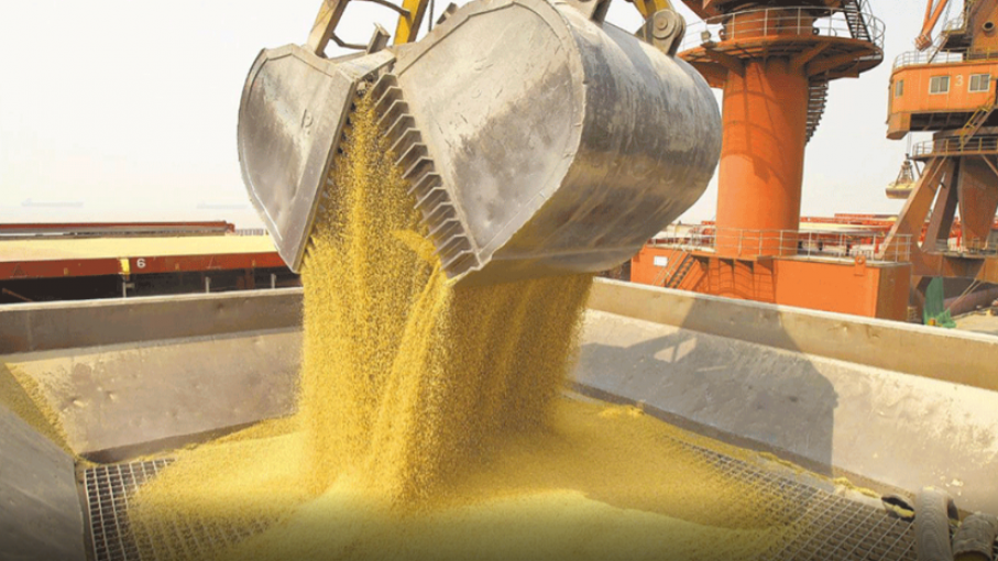 El auge de los biocombustibles en EE.UU. y su impacto en la exportación de soja Argentina