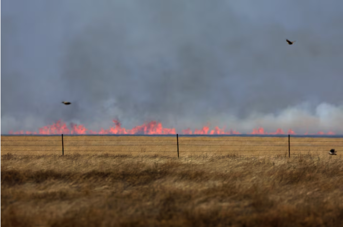 La ONU emite una 'alerta roja' mientras el mundo bate récords de calor en 2023