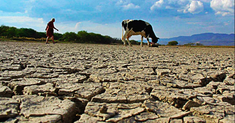 La crisis hídrica de Chile: Una lucha contra la sequía devastadora