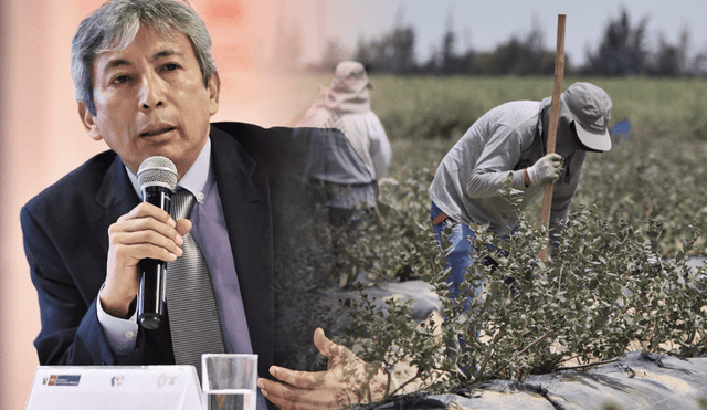 MEF anuncia reforma laboral en el Agro sin reanimar la "Ley Chlimper" completa