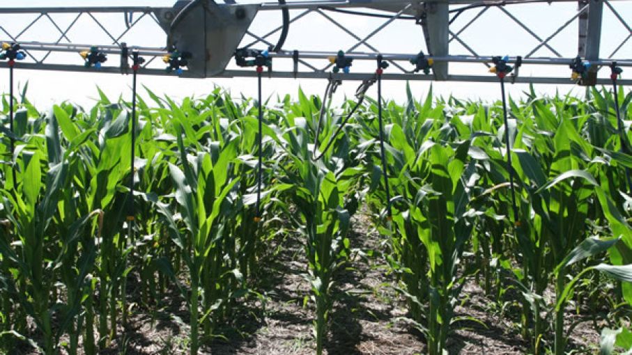 Perspectiva optimista de la demanda de fertilizantes luego de una leve caída en 2023