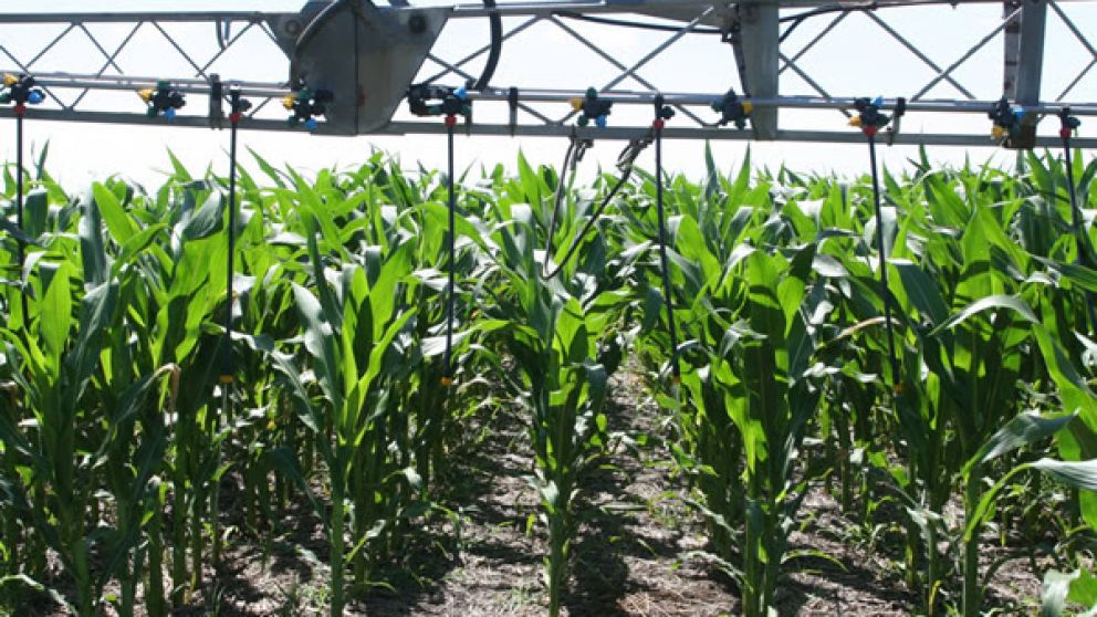 Perspectiva optimista de la demanda de fertilizantes luego de una leve cada en 2023