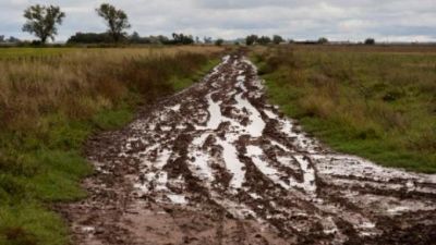 Kicillof refuerza el Plan de Caminos Rurales y declara la emergencia agropecuaria en 12 municipios bonaerenses