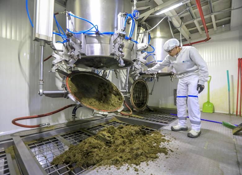 ¿Colombia se Convertirá en un Gigante de la Fabricación de Bioinsumos?