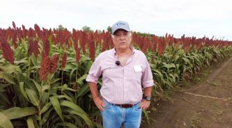 Descubri cómo el sorgo se transforma en oro verde: Innovaciones y rentabilidad reveladas en Expo RAGT