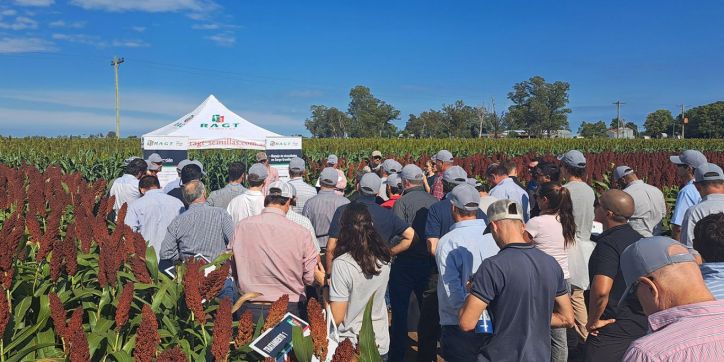 Descubri cómo el sorgo se transforma en oro verde: Innovaciones y rentabilidad reveladas en Expo RAGT