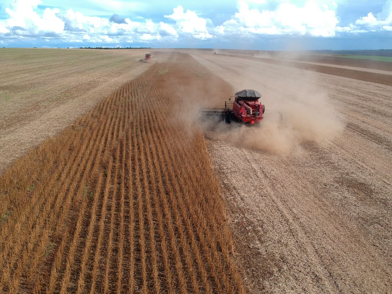 Presión fiscal en agricultura alcanza nuevos máximos: $84 de cada $100 de trigo para el estado Bajo Milei, revela Informe FADA