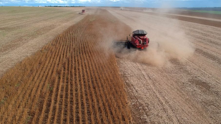 Presión fiscal en agricultura alcanza nuevos máximos: $84 de cada $100 de trigo para el estado Bajo Milei, revela Informe FADA