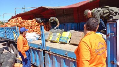 Salta: incautaron un cargamento récord de 861 kilos de cocaína ocultos en zapallos