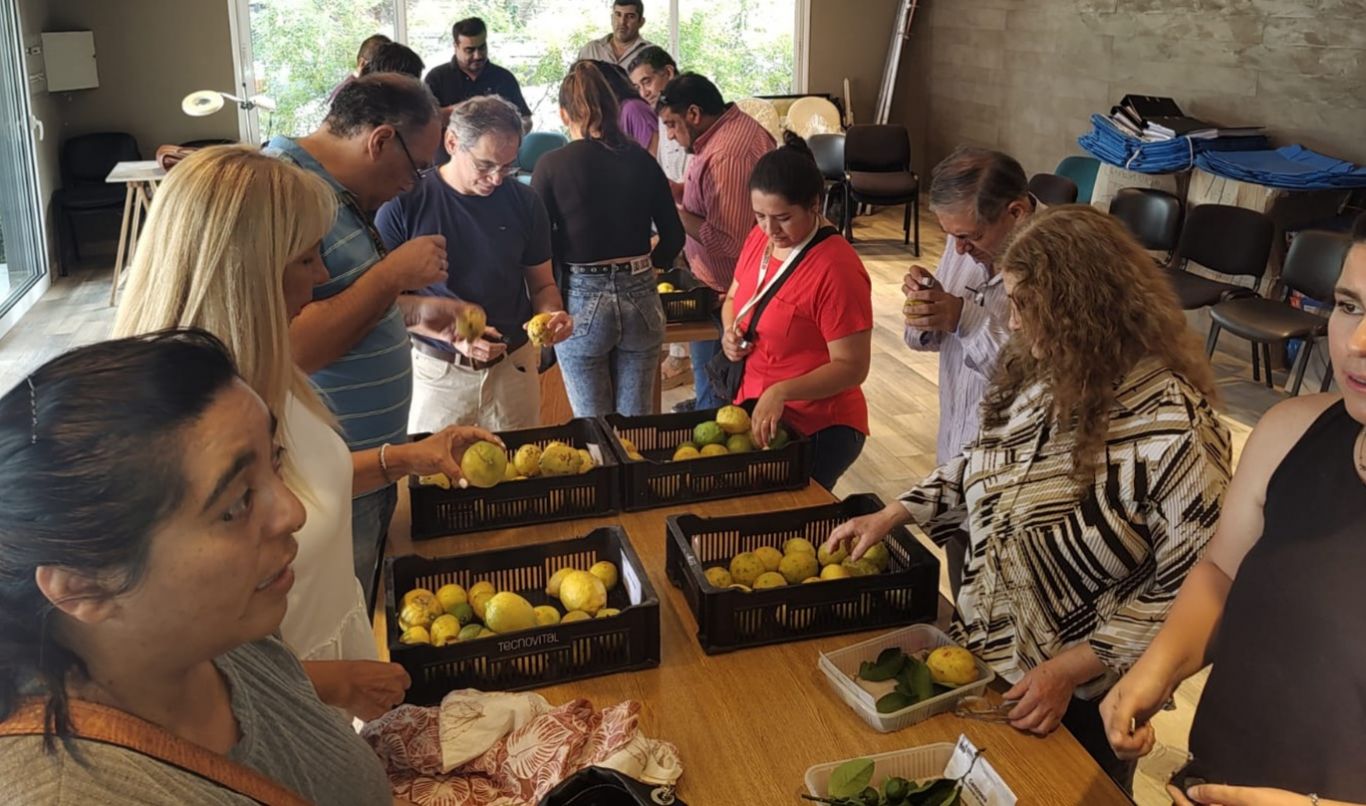 Curso en certificación de fruta fresca cítrica para exportar a la UE y mercados similares