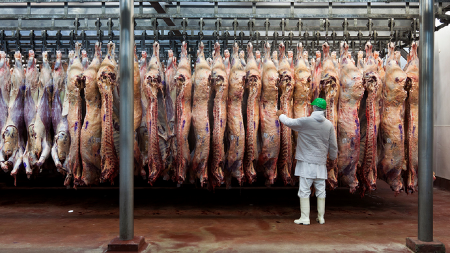 Argentina bate récord de 57 años en exportaciones de carne: ¿Cómo logró superar las barreras globales?