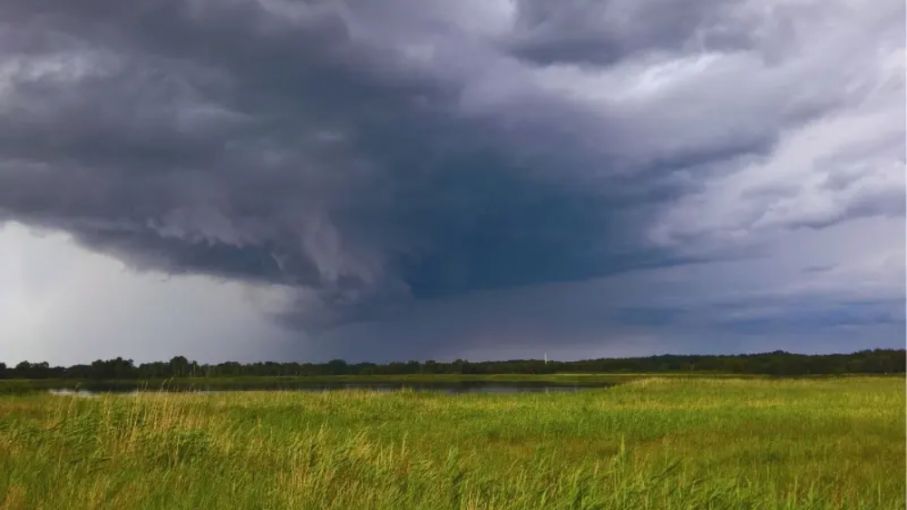 Suelos: cómo conservar 100 milímetros de agua de lluvia