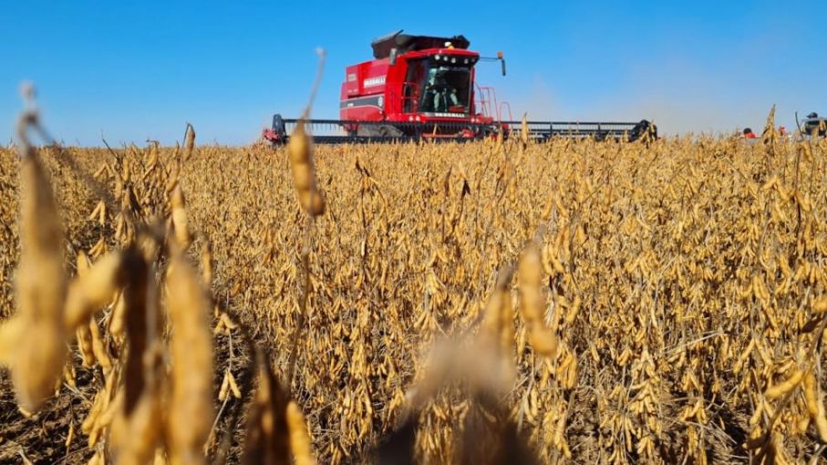Temperaturas extremas y precipitaciones variables: Impacto en la agricultura Sudamericana