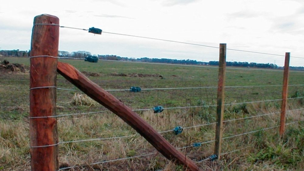 ¿Cuánto cuesta alambrar el campo? Descubri el impacto en el bolsillo del productor