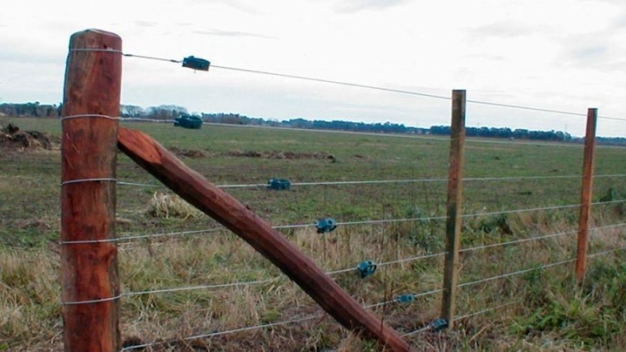 ¿Cuánto cuesta alambrar el campo? Descubri el impacto en el bolsillo del productor