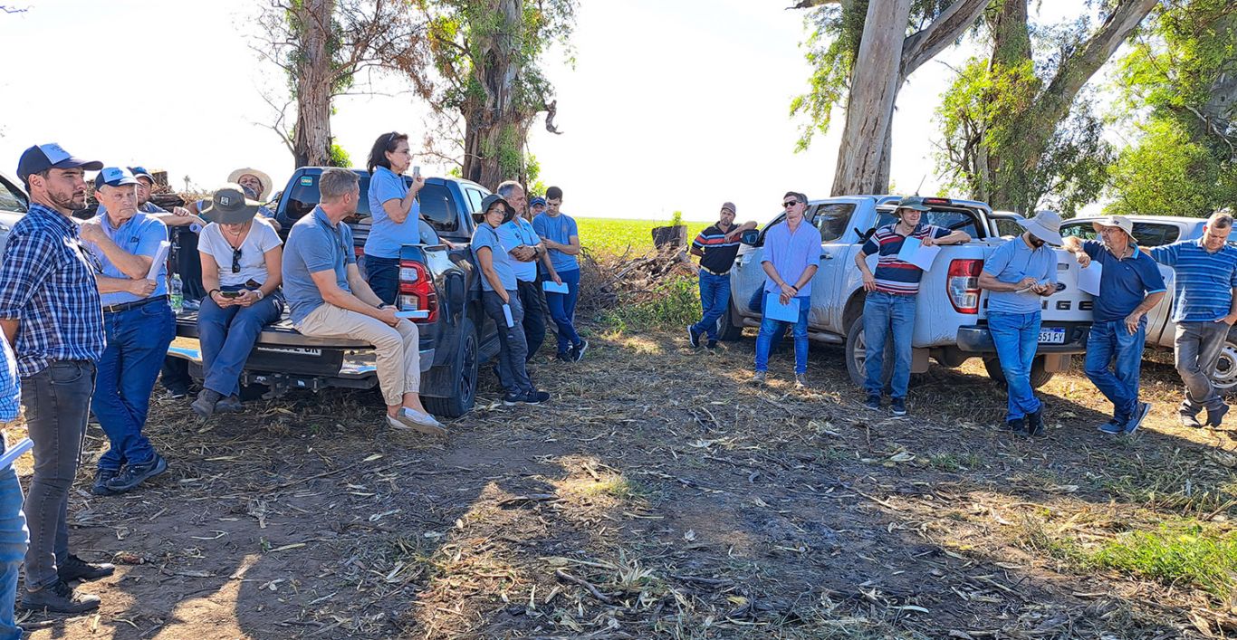 Giras agronómicas CREA, encuentros a campo de alto valor agronómico y abiertos al público.