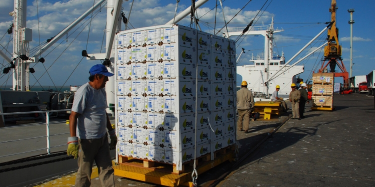 La exportación de peras y manzanas a México creció un 32% durante la temporada 2024