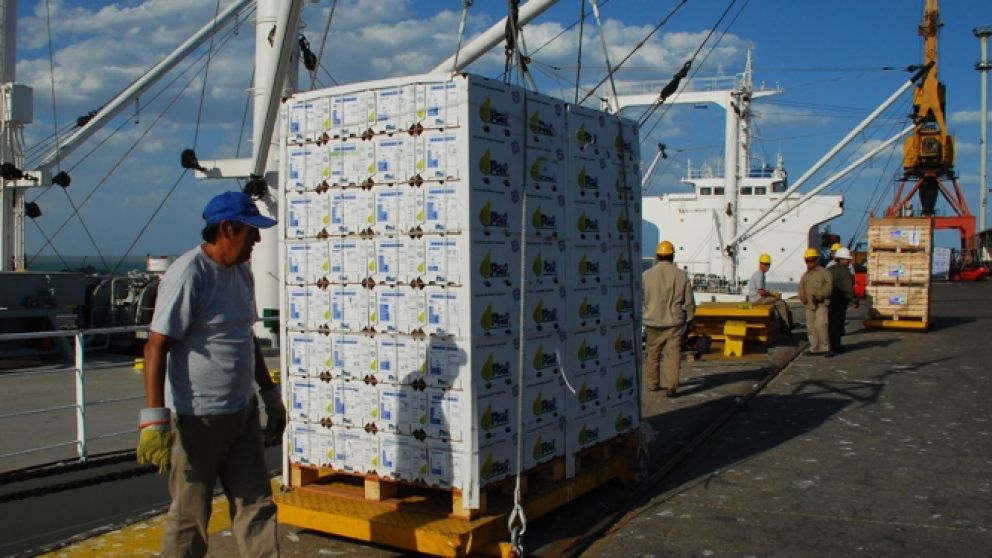 Con la recuperacin de la produccin agrcola, las exportaciones argentinas crecieron un 19% en 2024