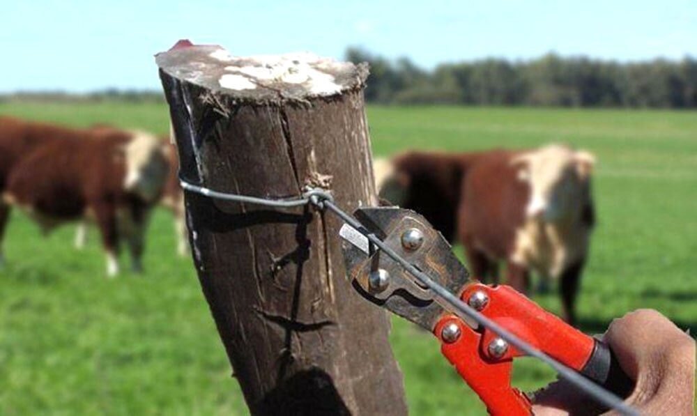 Fuerte reclamo de Federación Agraria por la inseguridad rural
