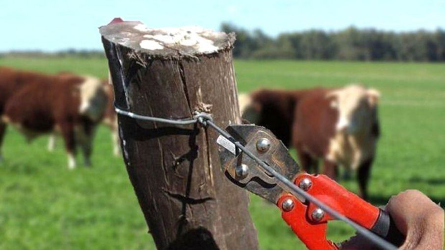 Fuerte reclamo de Federación Agraria por la inseguridad rural