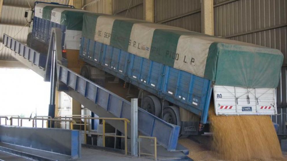 Movimientos en los mercados de granos: Rosario y Chicago en el foco de la atencin