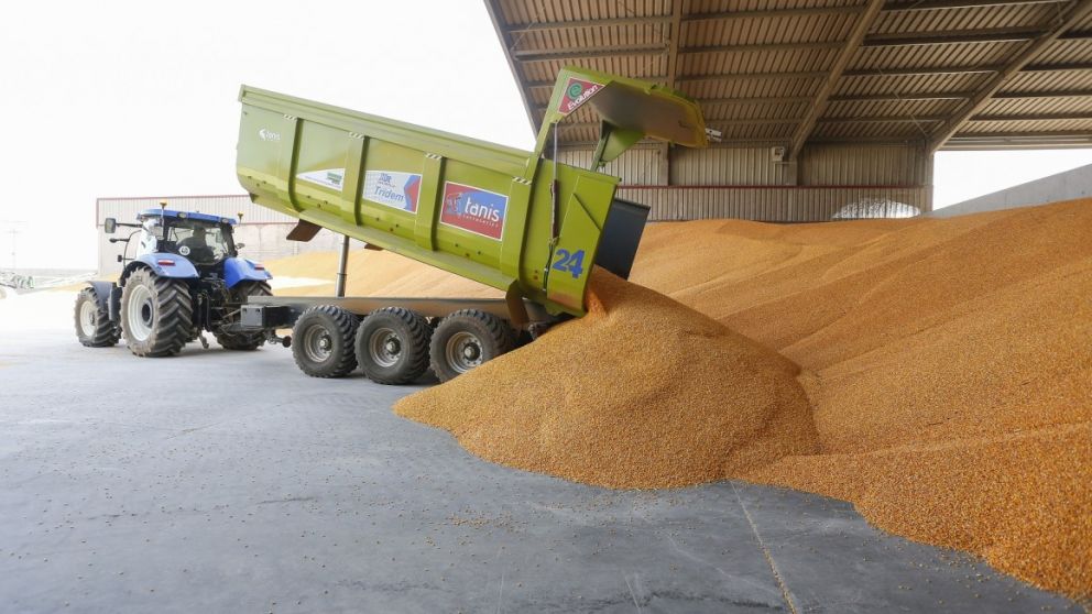 Informe WASDE de abril revela aumento en la demanda de maz y desafos para la soja y el trigo