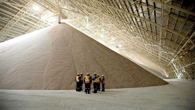 Nutrien avanza con plan de desinversión en América del Sur ante pérdidas sustanciales