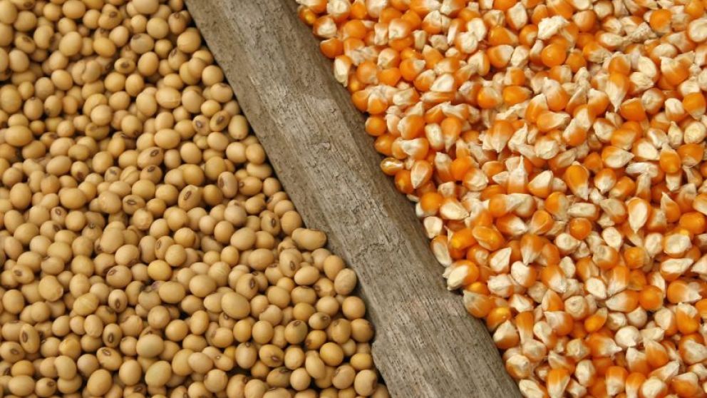 Impacto del Informe USDA en los precios de los granos en Chicago y Rosario