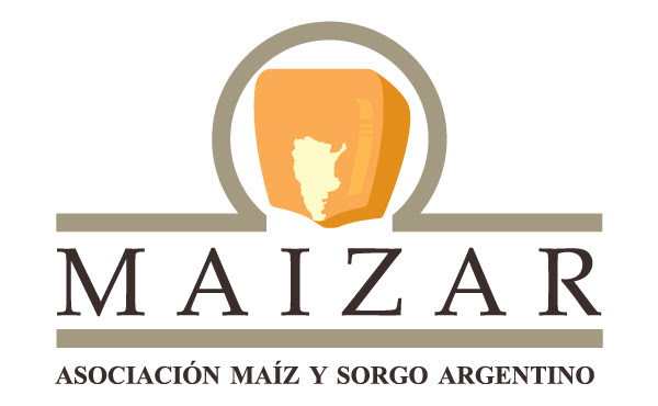 MAIZAR está coordinando un trabajo público-privado para abordar el problema del achaparramiento del maíz