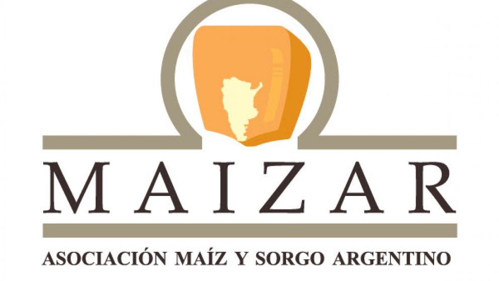 MAIZAR est coordinando un trabajo pblico-privado para abordar el problema del achaparramiento del maz
