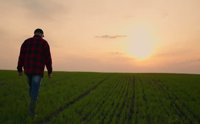 El clima, una vez más protagonista principal de la campaña