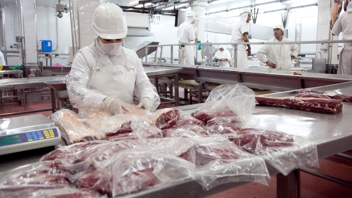 Recuperación histórica en exportaciones de carne vacuna en agosto de 2024