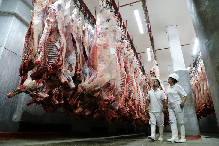 Advierten sobre suspensiones en frigoríficos debido al achique de la faena