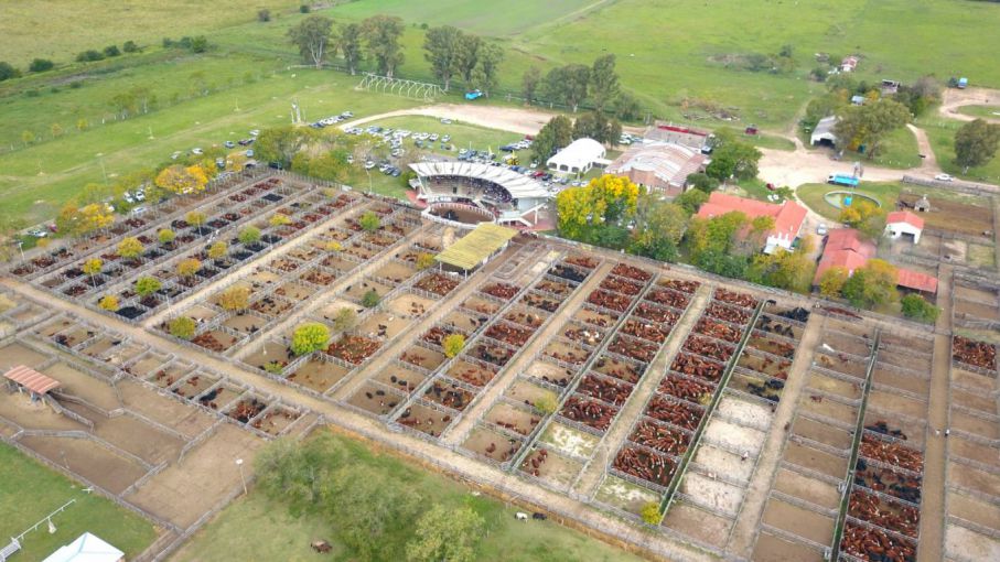 Gualeguaychú será sede de un simposio internacional de las rurales con eje en el aspecto ambiental