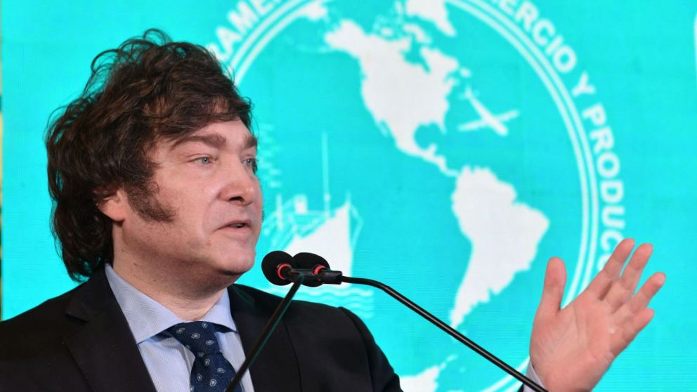 Javier Milei, lejos de ser el "segundo presidente con mejor imagen del mundo" segn nueva encuesta