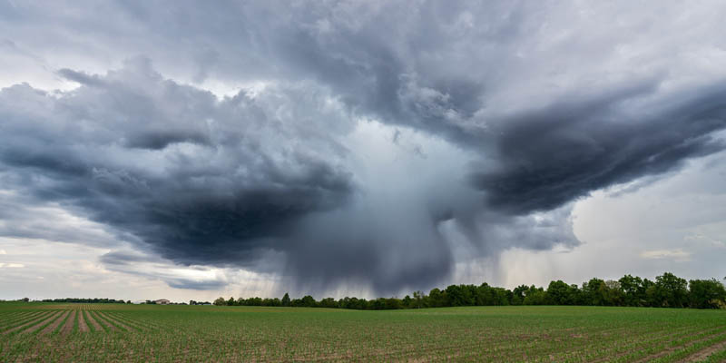 Informe Agroclimático Semanal. Frentes de tormenta y cambios drásticos en la temperatura afectarán la Agricultura