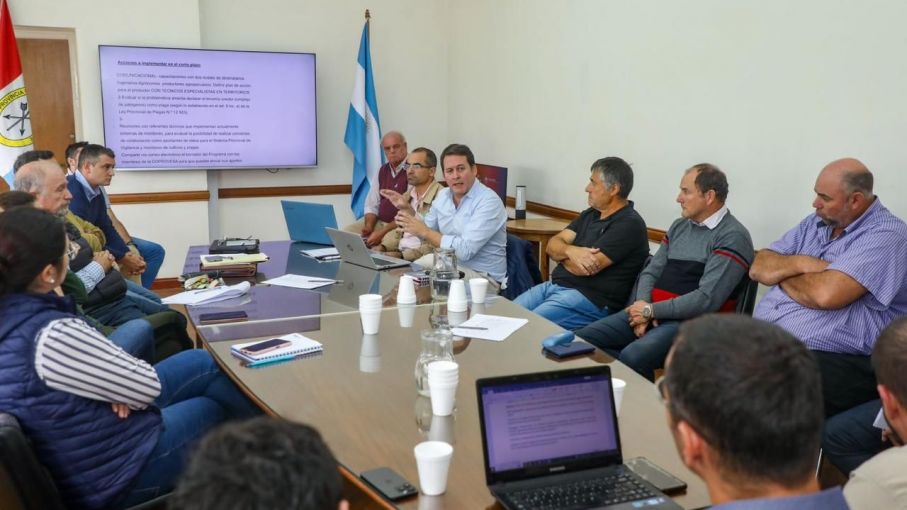 La Comisión de Protección Vegetal santafesina recomienda declarar "plaga" a la "chicharrita de maíz"