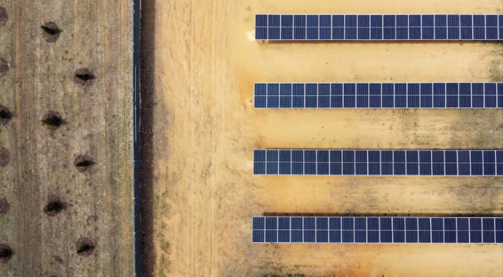 Expansión solar en tierras agrícolas de EE.UU. beneficios económicos y riesgos ambientales